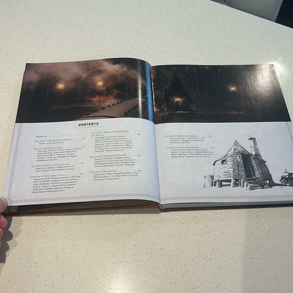 Harry Potter Magical Places from the Films Hogwarts, Diagon Alley & Beyond - Picture 9 of 17